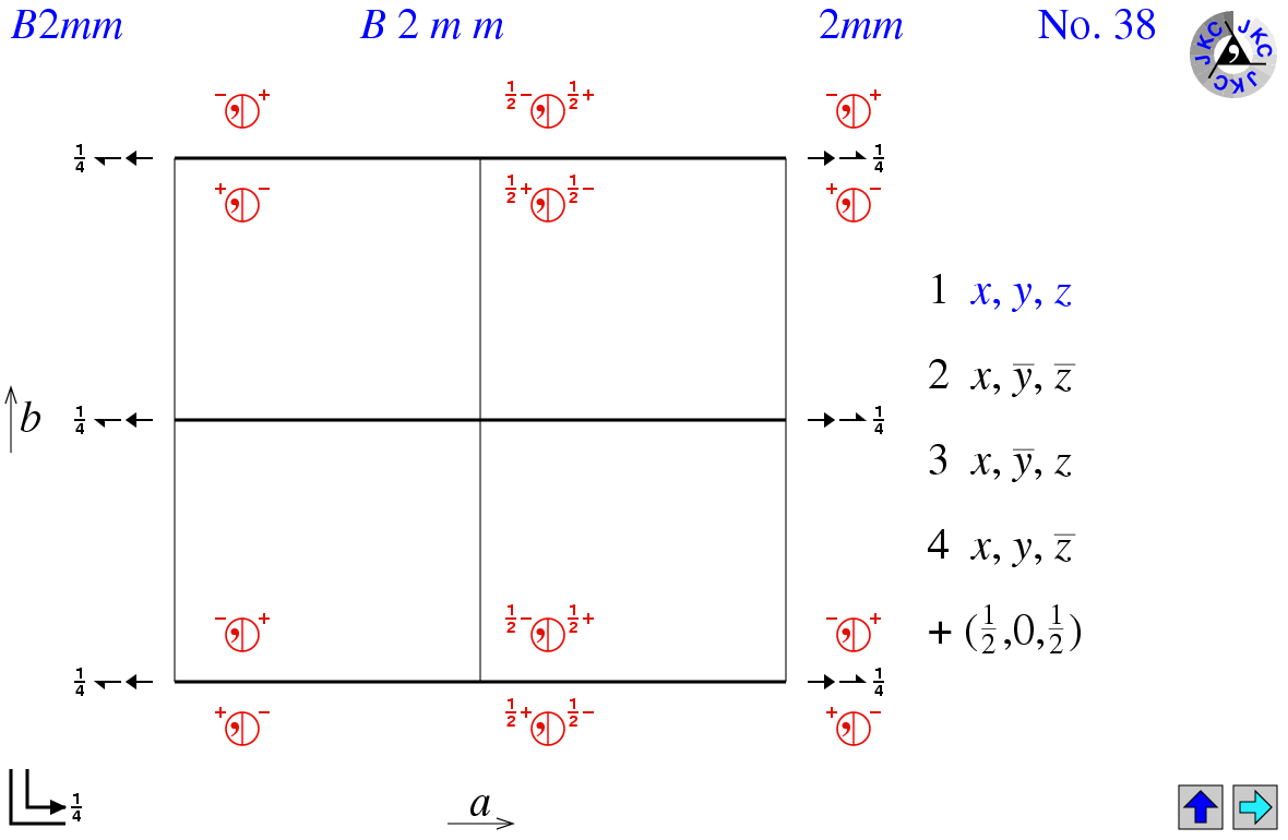 B2mm