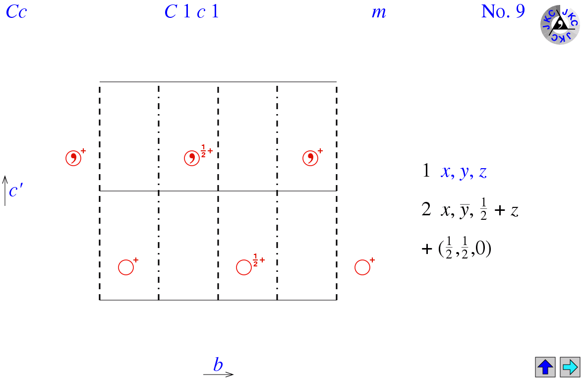 C1c1