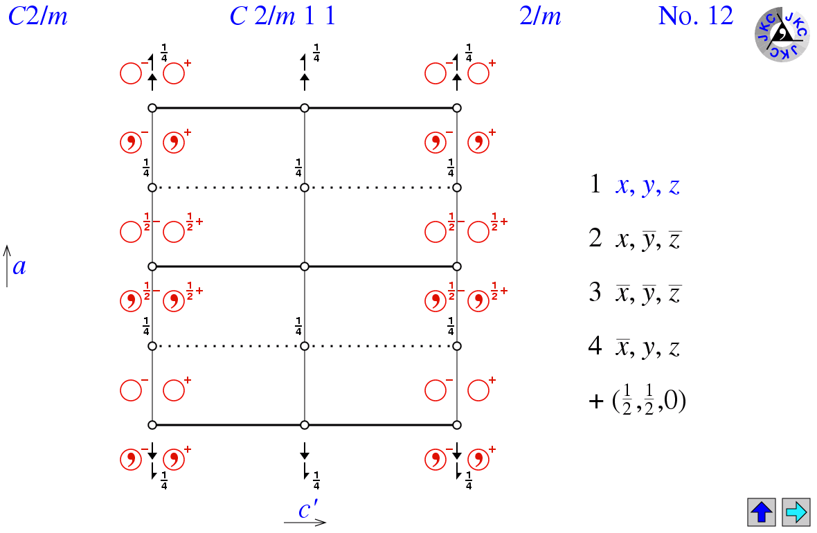 C2/m11