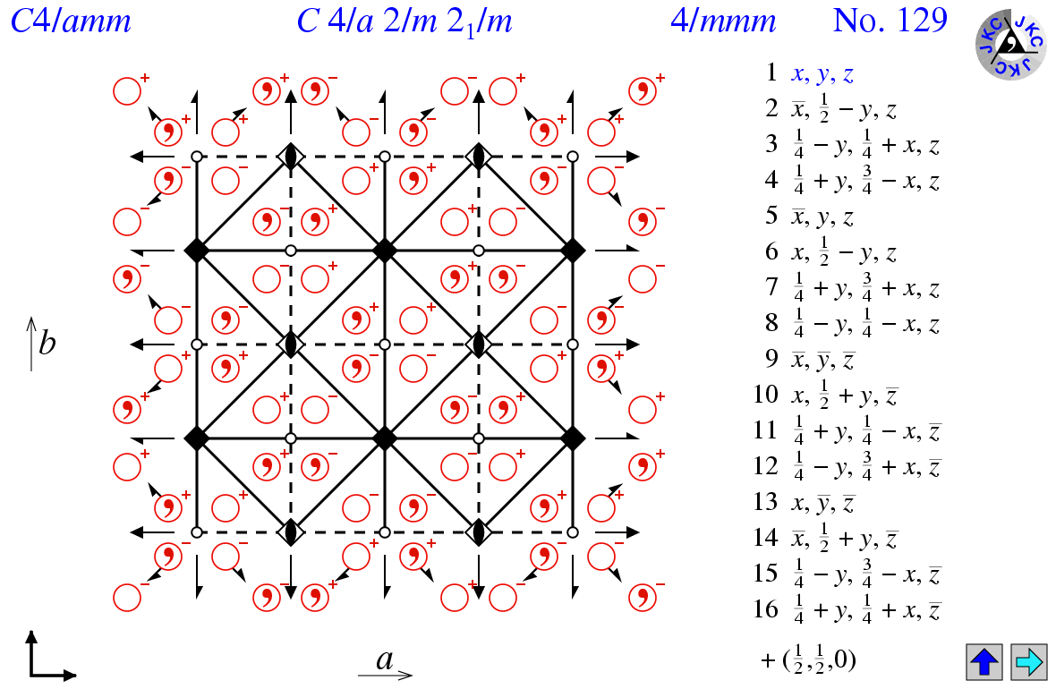 C4/amm