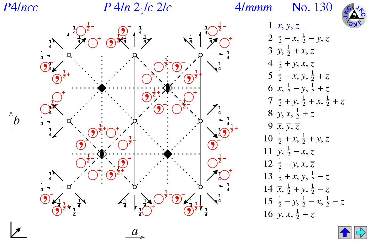 P4/ncc